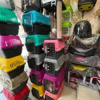 تاپ فید مینا عروس هلندی اجیل پلت|لوازم جانبی حیوانات|مشهد, گلبرگ|دیوار