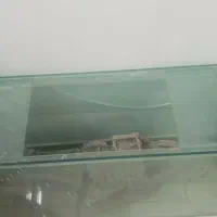 آکواریوم|ماهی|اسلام‌شهر, شهرک قائمیه|دیوار