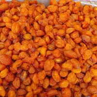 آلوی بخارا لوکس نیشابور