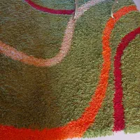 فرش شگی ۶ متری قالیشویی رفته و تمیز لطفا ورق بزنید