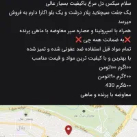 غذا ماهی میکس دل با کیفیت معاوضه با ماهی وپرنده|ماهی|مشهد, قائم|دیوار