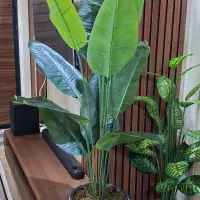 تولیدکننده درختچه مصنوعی وارداتی لمسی چرمی