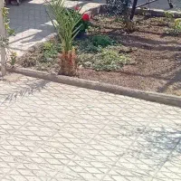 باغ-5600-متری-جهت-سرمایه-گذاری