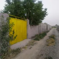 فروش باغ ۲۵۰ متری باغچه سنددار