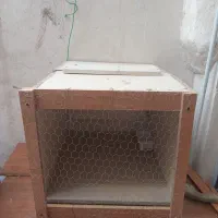 قفس کوچک