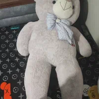 عروسک خرس بزرگ|اسباببازی|ساری, |دیوار