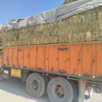 فروش پوشال یا سیفال برنج و کاه گندم|عمدهفروشی|یزد, |دیوار