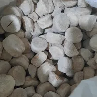 کشک بز|خوردنی و آشامیدنی|اندیمشک, |دیوار