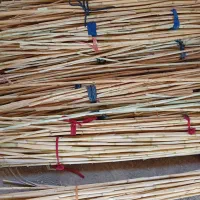 برای تکی و جفتی|سازهای سنتی|بوشهر, |دیوار