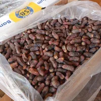 خرما پیارم|حراج|بندرعباس, |دیوار