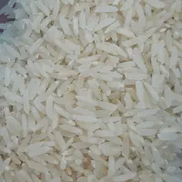 برنج دم سیاه