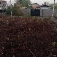 ۳۰۱متر با پروانه ساخت ۷۵متری شهری گورابزرمیخ|فروش زمین و ملک کلنگی|گوراب زرمیخ, |دیوار