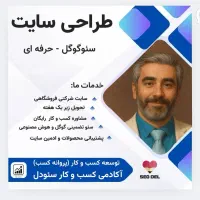 طراحی سایت حرفه‌ای / سئو تضمینی /  تبلیغات گوگل