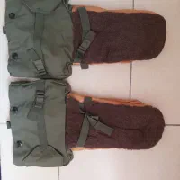 دستکش قطبی آمریکایی