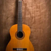 ۵ عدد گیتار c40 نو