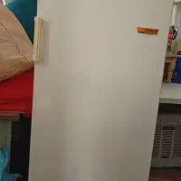 یخچال ارج کاملا سالم