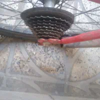 دوچرخه|دوچرخه، اسکیت، اسکوتر|مشکین‌دشت, |دیوار