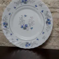 آبگوشت خوری وخورشت خوری ودیگرظروف ارکوپال۳۹۰|ظروف سرو و پذیرایی|تهران, بروجردی|دیوار