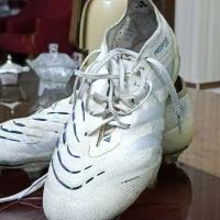 کفش فوتبال پردیتور