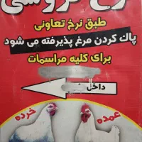 مرغ زنده