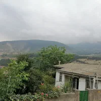 زمین-شمال-مرزن-آباد-چالوس-قیمت-هرچی-شما-بفرمایید