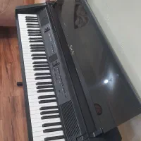 پیانو دیجیتال کاسیو|پیانو، کیبورد، آکاردئون|ایذه, |دیوار