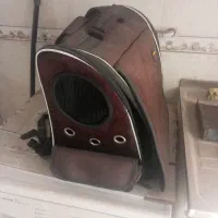 جای سگ و گربه