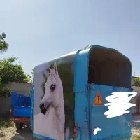 اسبکش|اسب و تجهیزات اسب‌سواری|آذرشهر, |دیوار