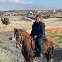 فروش فروی اسب نریان|اسب و تجهیزات اسبسواری|شاندیز, |دیوار