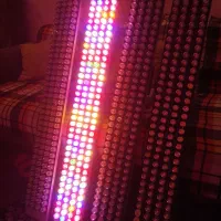 LED ال ای دی لامپ مخصوص رشد گیاه|گل و گیاه طبیعی|مشهد, گاز|دیوار