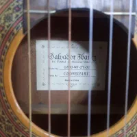 گیتار ایبانز|گیتار، بیس، امپلیفایر|شهریار, شهریار|دیوار