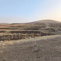 کارگاه تولیدی فنس (h.s)|خدمات باغبانی و درختکاری|همدان, |دیوار