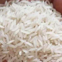 فروش فوری برنج طارم بهنام عطری کشت دوم|خوردنی و آشامیدنی|گلوگاه بابل (گلیا), |دیوار