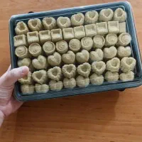 حبه عناب فروشی|خوردنی و آشامیدنی|سراوان, |دیوار