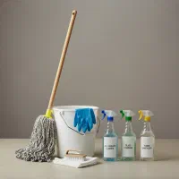 نظافتچی و خدمتکار آقا