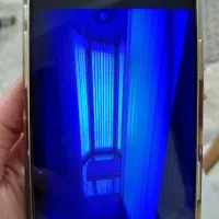 تجهیزات|آرایشگاه و سالن‌های زیبایی|محمدیه-قزوین, |دیوار