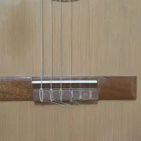 فروش گیتار|گیتار، بیس، امپلیفایر|ایذه, |دیوار