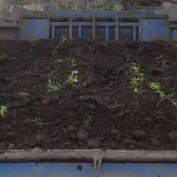 فروش کود حیوانی قدیمی پوسیده مناسب گل و گلخانه