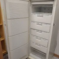 فریزر|یخچال و فریزر|شیراز, فرهنگ شهر|دیوار