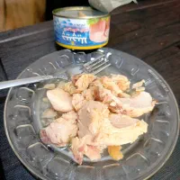 تن ماهی جنوب فقط قیمت درب کارخانه|عمدهفروشی|ساوه, |دیوار