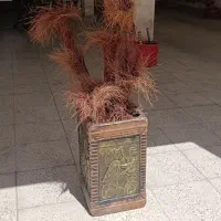 گلدان هخامنشی
