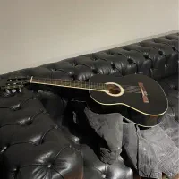 گیتار هافنر مشکی