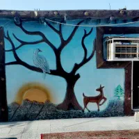 نما طرح سنگ وچوب با طرح و رنگ و قیمت عالی|خدمات پیشه و مهارت|میناب, |دیوار