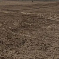 زمین کشاورزی ۲۰ هکتار