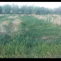 زمین-باغ-عمران