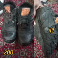 کفش|کیف، کفش، کمربند|کوهدشت, |دیوار