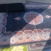 فرشینه|فرش|تربت جام, میان جام|دیوار