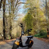 اسکوتر برقی آلمانی|دوچرخه، اسکیت، اسکوتر|گرگان, |دیوار