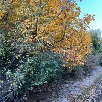 خانه ویلایی