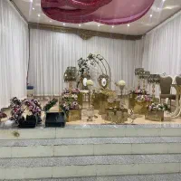 دیجی خانم و آقا با تخفیف|خدمات پذیرایی، مراسم|رفسنجان, |دیوار